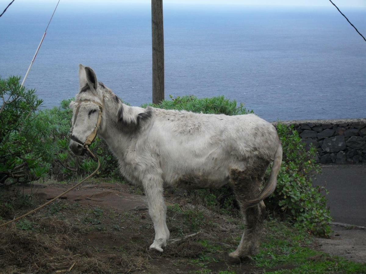 Casa Rural Arguamul バジェエルモソ エクステリア 写真
